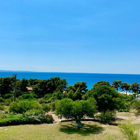 Olivia Estate Villa With Private Swimming Pool Ελιά Εξωτερικό φωτογραφία