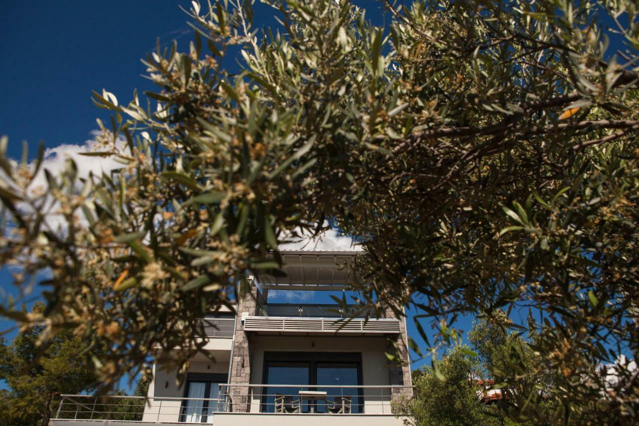 Olivia Estate Villa With Private Swimming Pool Ελιά Εξωτερικό φωτογραφία
