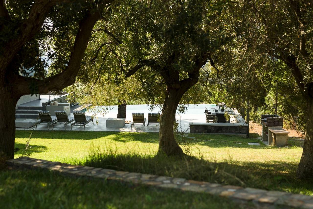 Olivia Estate Villa With Private Swimming Pool Ελιά Εξωτερικό φωτογραφία