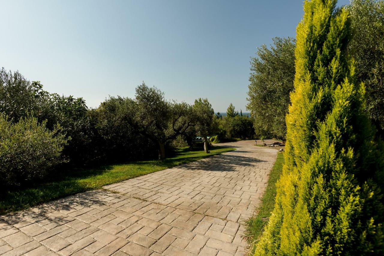Olivia Estate Villa With Private Swimming Pool Ελιά Εξωτερικό φωτογραφία