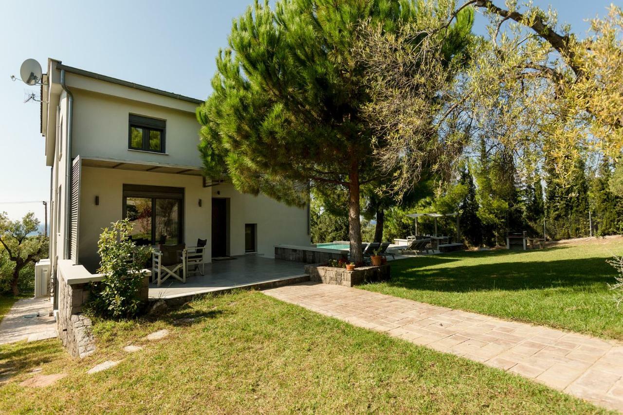 Olivia Estate Villa With Private Swimming Pool Ελιά Εξωτερικό φωτογραφία
