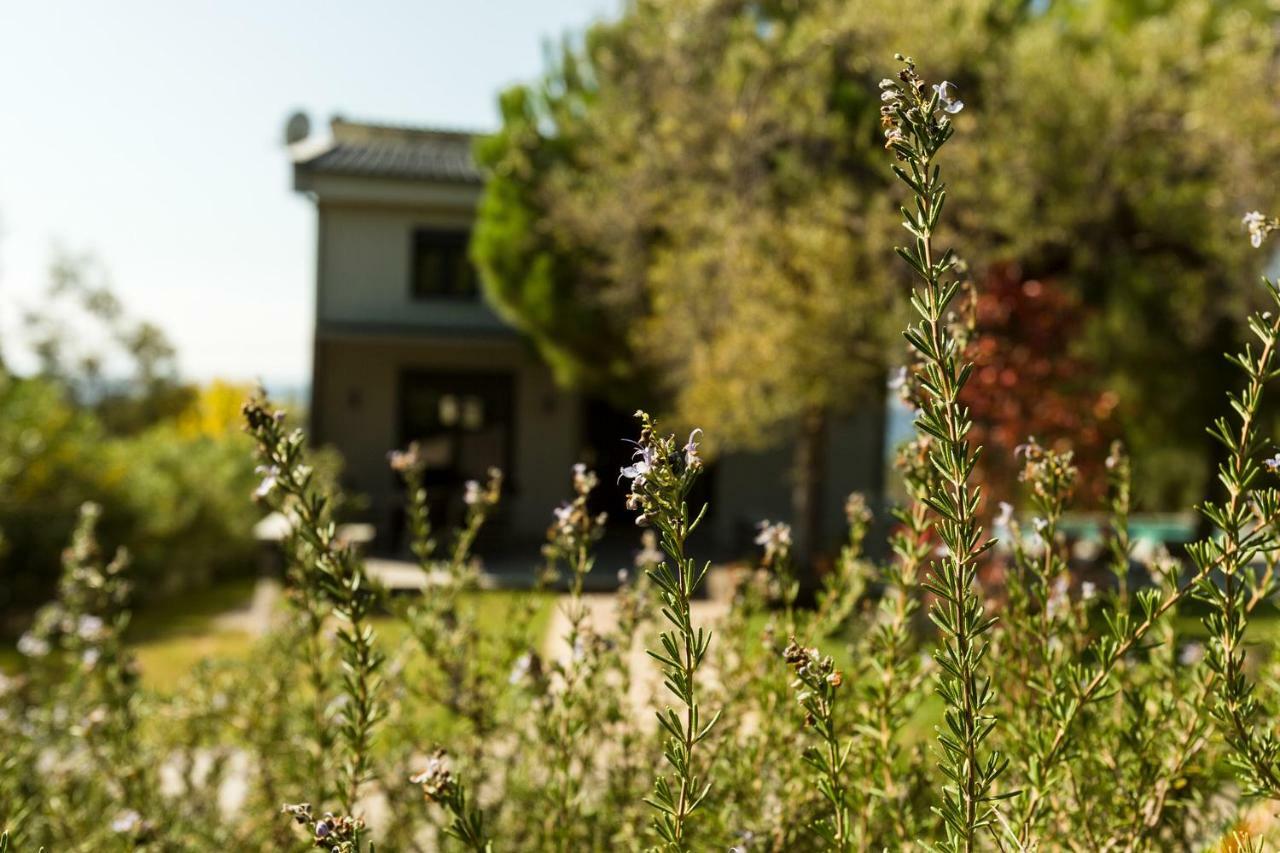 Olivia Estate Villa With Private Swimming Pool Ελιά Εξωτερικό φωτογραφία